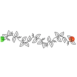 Stitch outline of Creeping Fig