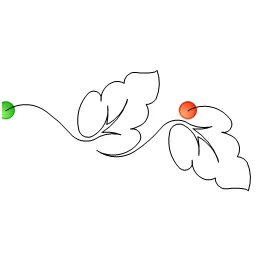 Stitch outline of Monstera