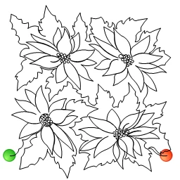 Stitch outline of Pointsettia Panto