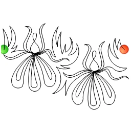 Stitch outline of SS Peacock Iris Blossoms