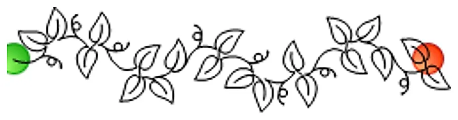 Stitch outline of Creeping Fig