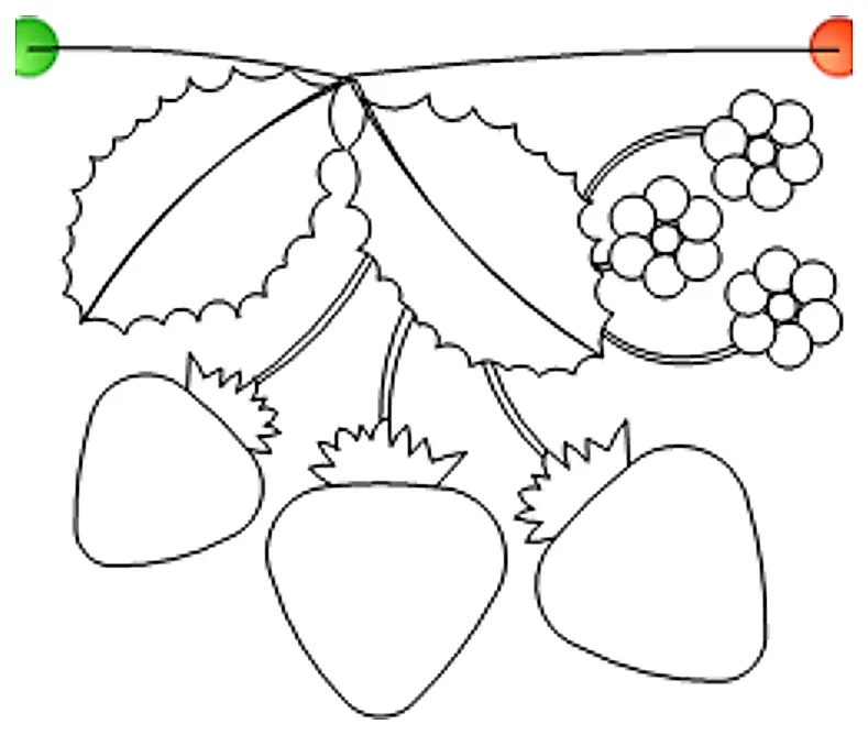 Stitch outline of FIS_Produce-Strawberry-Plant-Chain