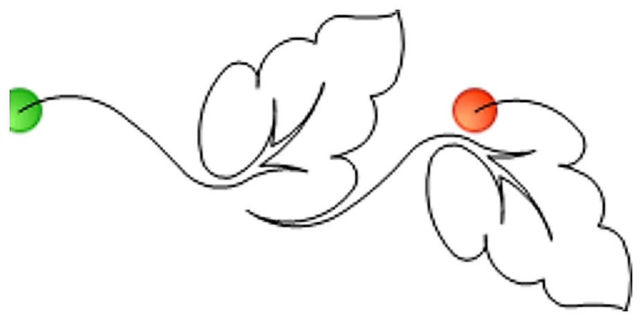 Stitch outline of Monstera