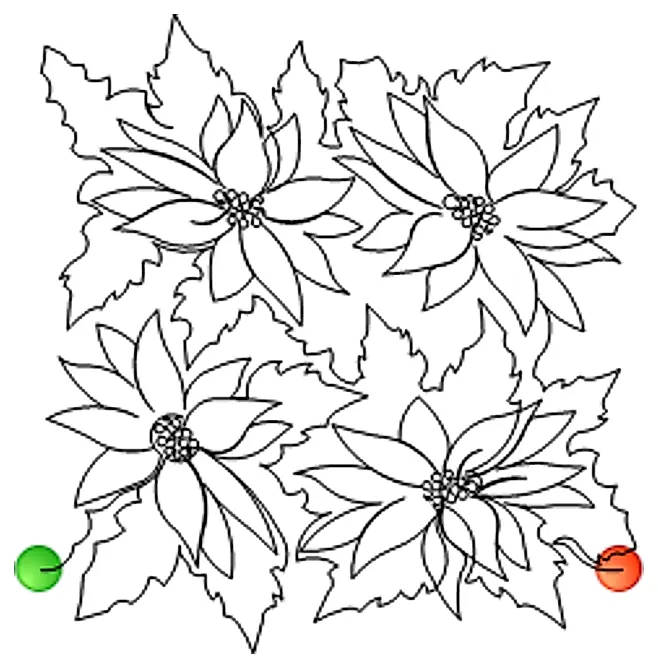 Stitch outline of Pointsettia Panto